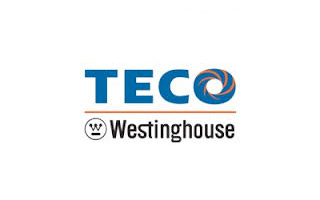 Techo Westinghouse logo